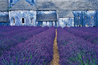 The  Abbaye de Senanque
