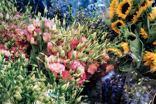 Fleurs, St. Tropez