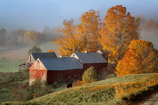 Early rising fog at the famous  Jenne farm , Vermont