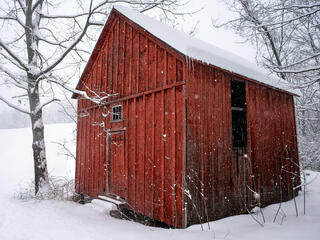  the little red barn