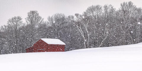 Vermont